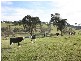 50 Kerrs Lane, Lysterfield VIC 3156