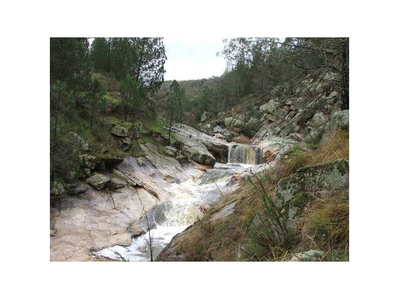 1476 Wangaratta-Beechworth Road, Everton Upper VIC 3678