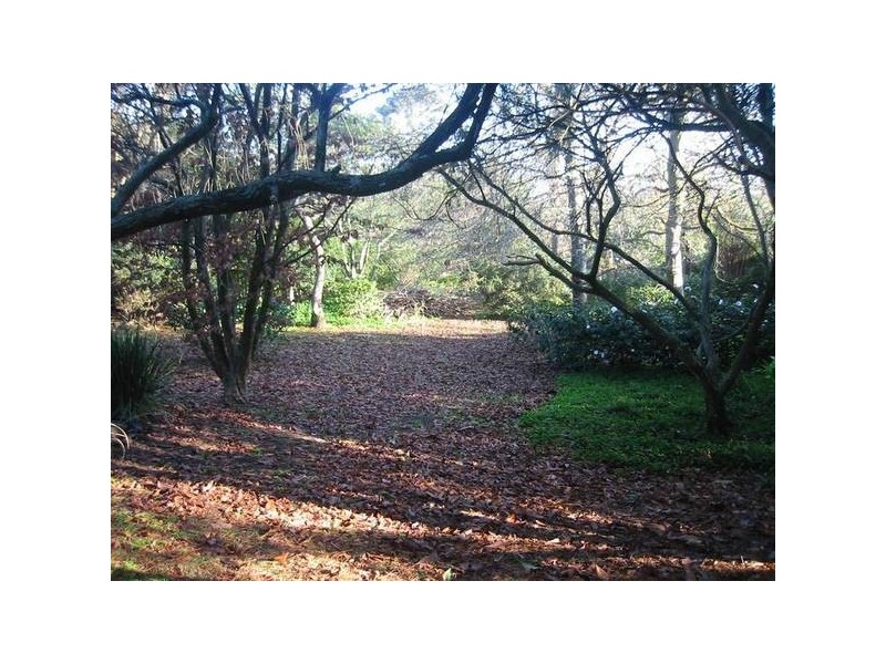 36 Brisbane Street, Berwick VIC 3806