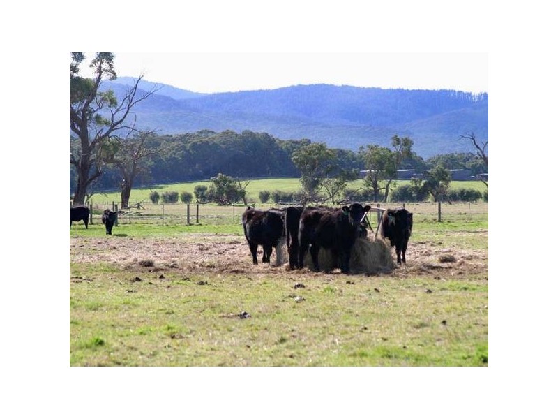 580 Ellis Road, Tonimbuk VIC 3815