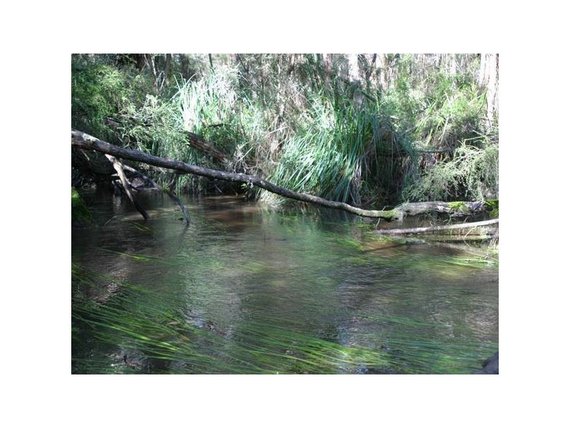 580 Ellis Road, Tonimbuk VIC 3815