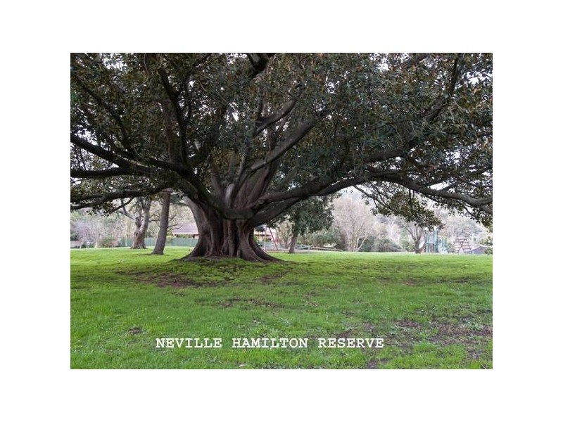 16 Shute Avenue, Berwick VIC 3806