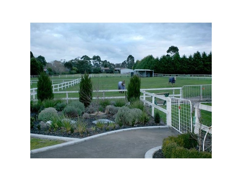 60a Buchanan Road, Berwick VIC 3806