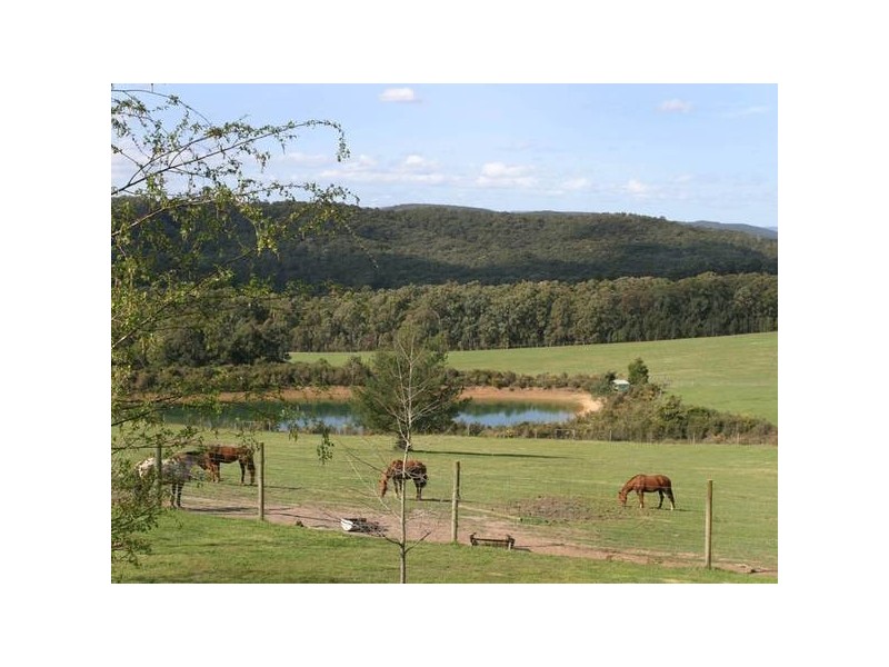 360 Mt Eirene Road, Gembrook VIC 3783