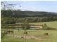 360 Mt Eirene Road, Gembrook VIC 3783
