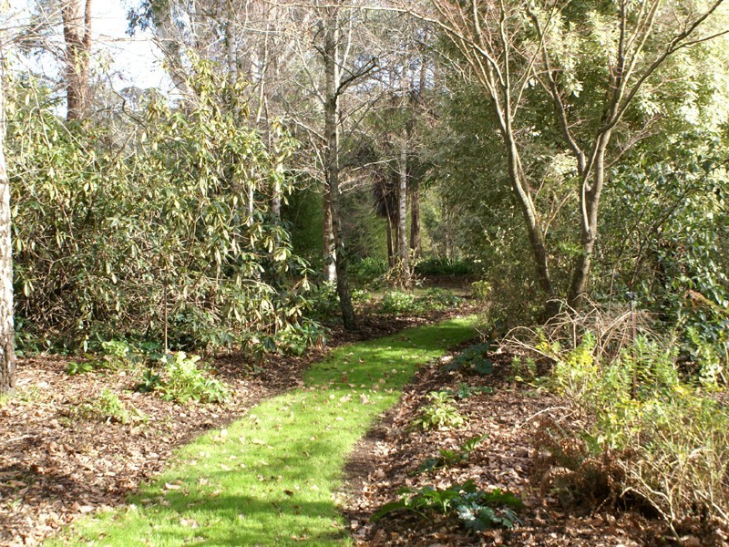 6 Boundary Road, Narre Warren East VIC 3804