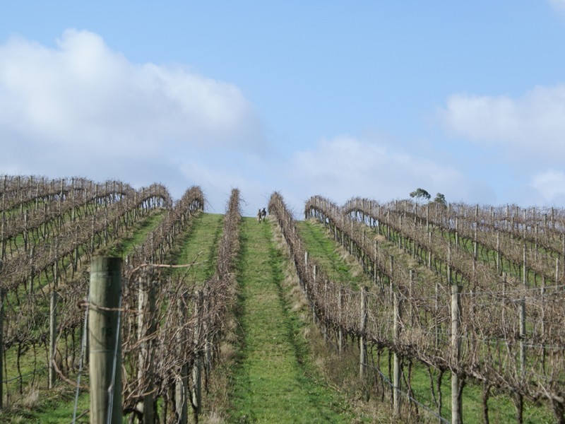 6 Boundary Road, Narre Warren East VIC 3804