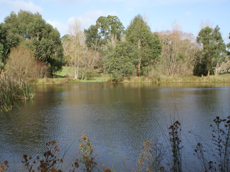 6 Boundary Road, Narre Warren East VIC 3804