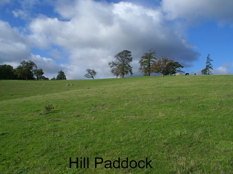 6 Boundary Road, Narre Warren East VIC 3804