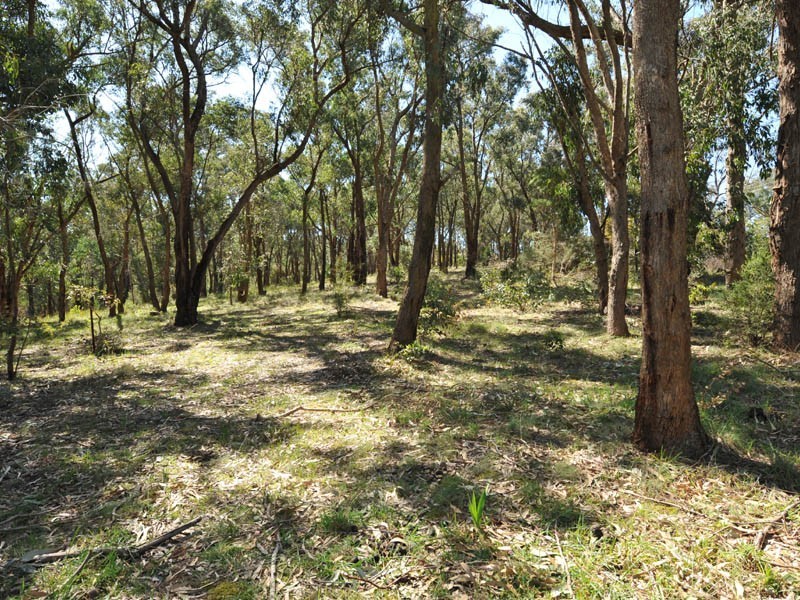 275 O’Neil Road, Beaconsfield VIC 3807