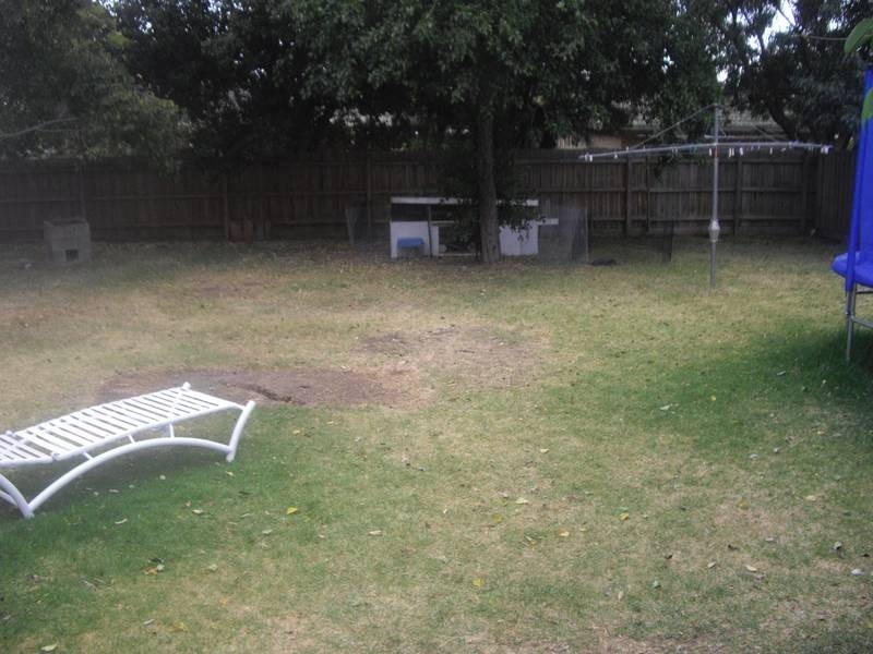 14 Earlston Square, Berwick VIC 3806