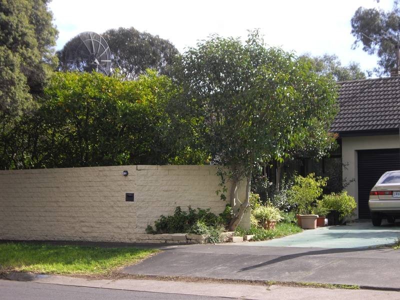 25 Carson Street, Mulgrave VIC 3170