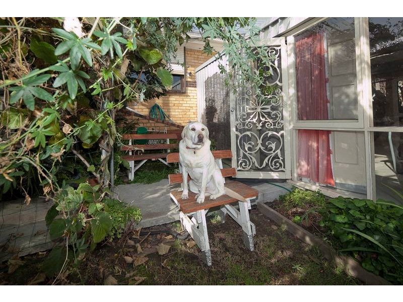 82 Elonera Road, Noble Park North VIC 3174