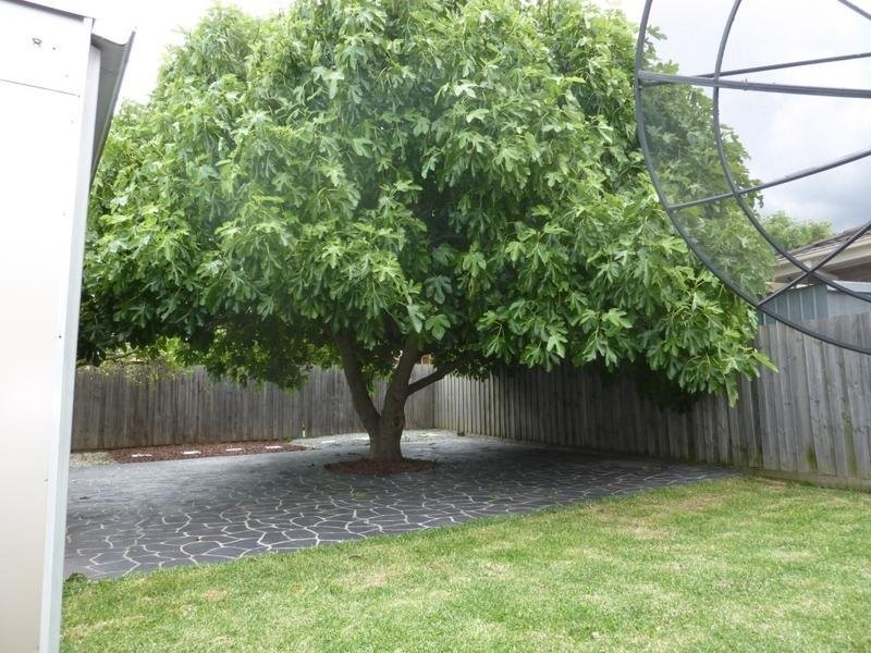 15 McKinley Court, Dandenong North VIC 3175
