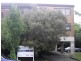 14/57 Cleeland Street, Dandenong VIC 3175