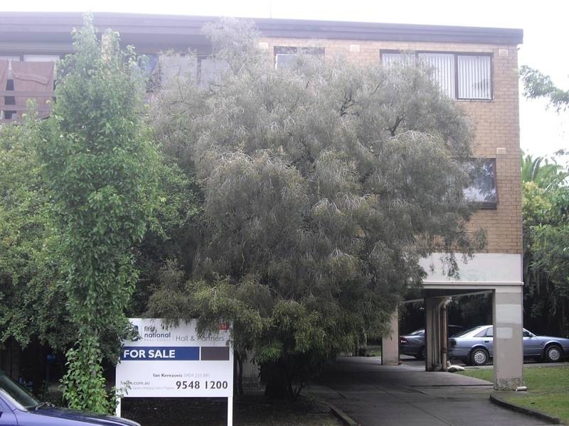 14/57 Cleeland Street, Dandenong VIC 3175