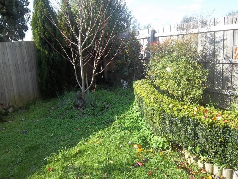 2/4 Jeannette court, Mulgrave VIC 3170