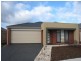 38 Hal Porter Terrace, Lynbrook VIC 3975