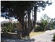 51 Carlton Road, Dandenong North VIC 3175