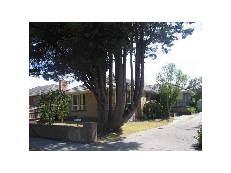 51 Carlton Road, Dandenong North VIC 3175