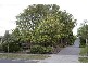 5 Selbourne Way, Mulgrave VIC 3170