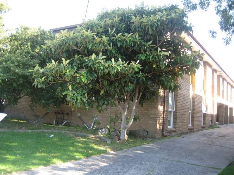 6/6 St James St, Springvale VIC 3171