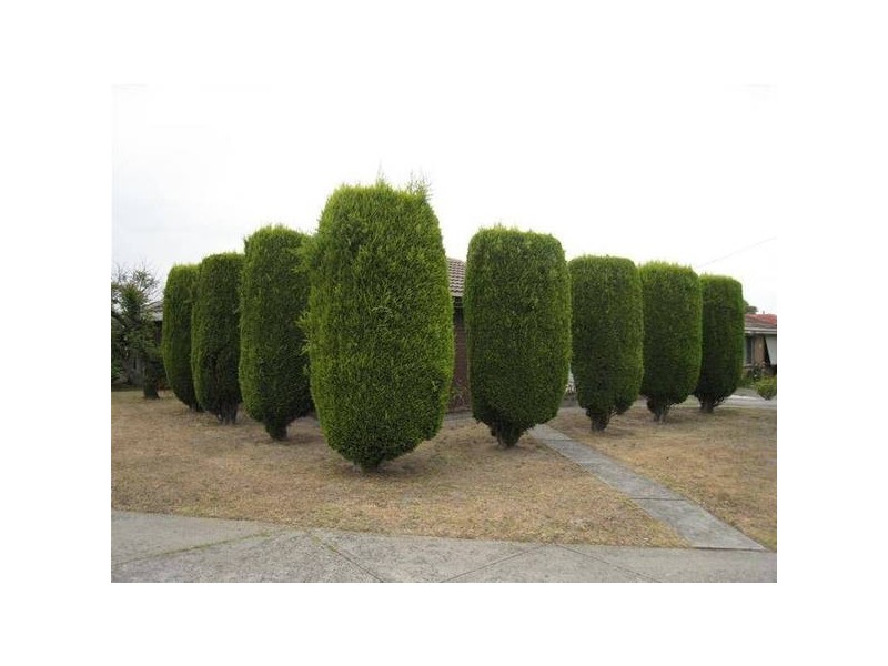 1/19 Apex Street, Dandenong North VIC 3175