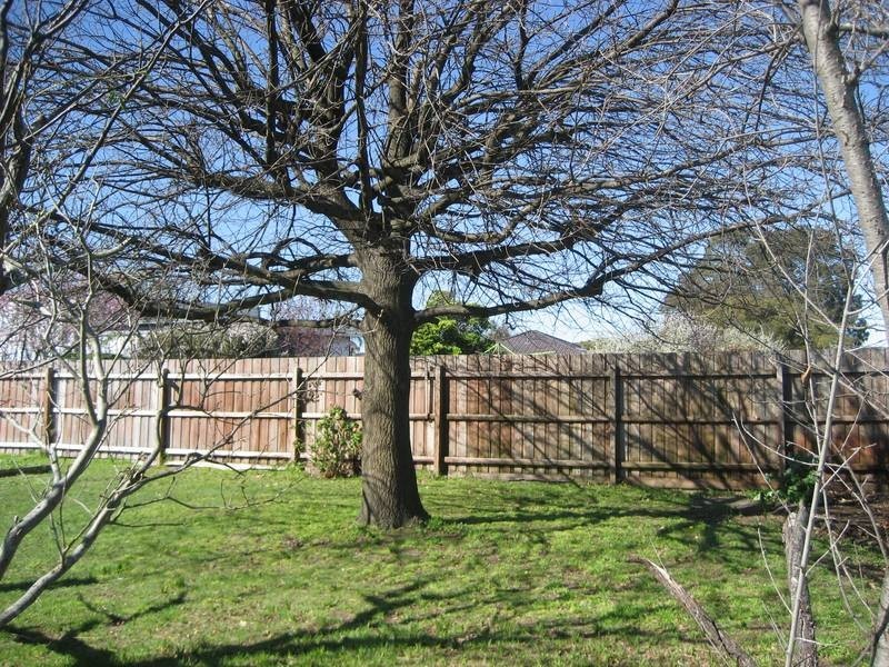 14 Savage Street, Pakenham VIC 3810