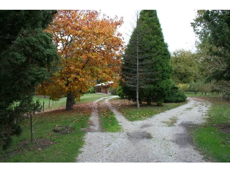 115 Jolley Road, Tonimbuk VIC 3815