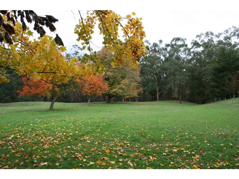 115 Jolley Road, Tonimbuk VIC 3815