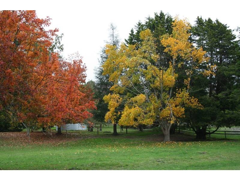 115 Jolley Road, Tonimbuk VIC 3815