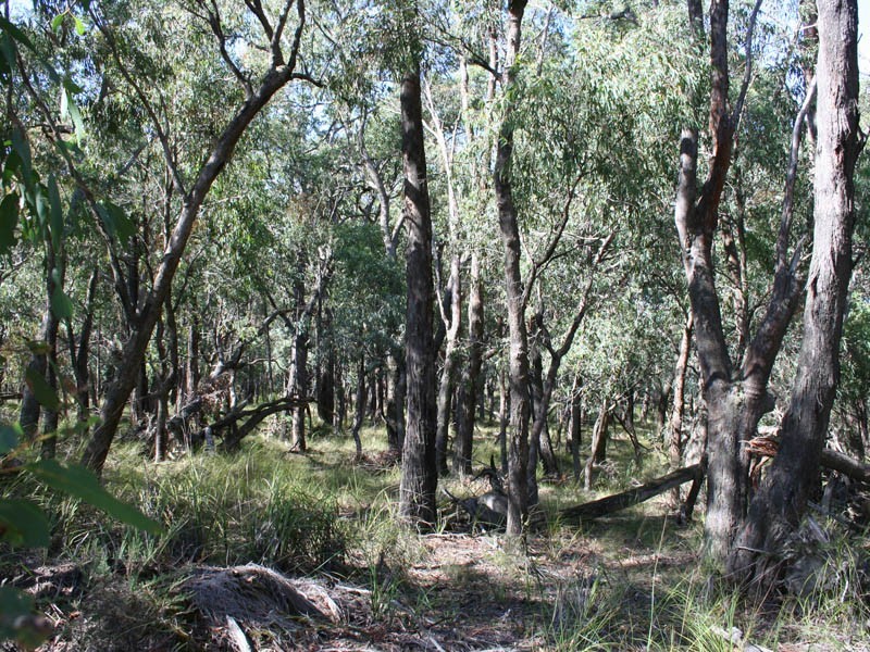 Lot 1,  Sue Ellen Road, Nar Nar Goon North VIC 3812