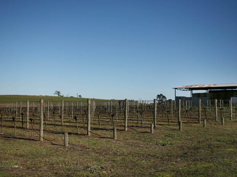 260 Tynong North Road, Tynong North VIC 3813