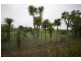 3490 Ballarto Road, Bayles VIC 3981