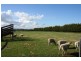90 Cook Street, Longwarry VIC 3816