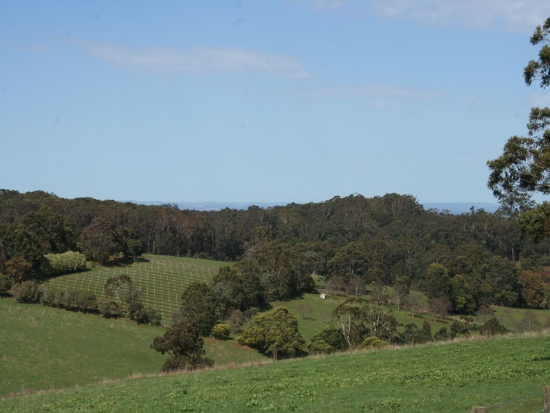 Lot 1, 100 Maisey Road, Gembrook VIC 3783