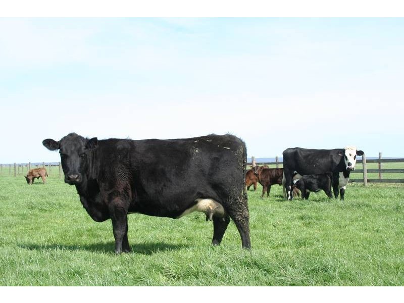 4270 South Gippsland Highway, Caldermeade VIC 3984