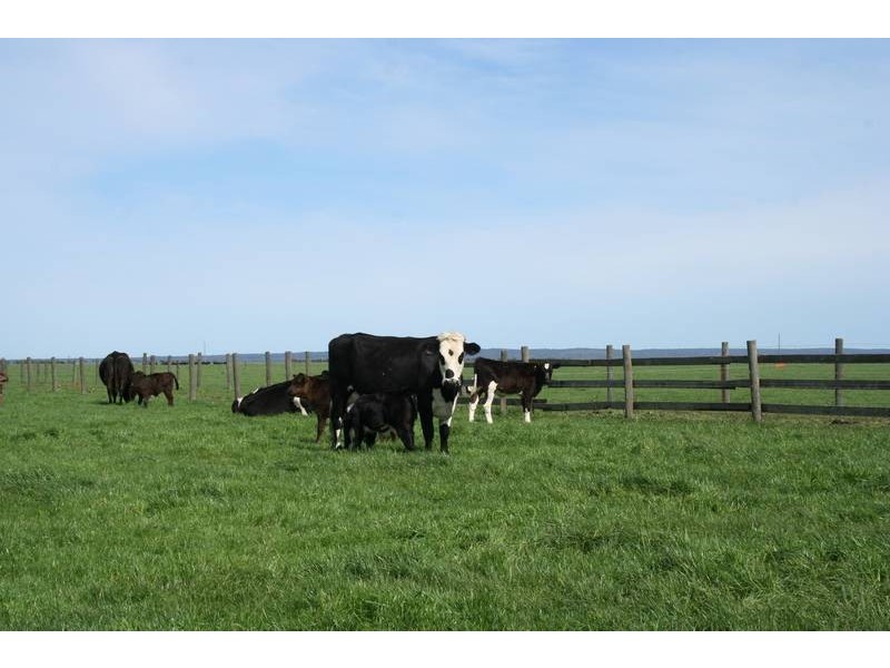 4270 South Gippsland Highway, Caldermeade VIC 3984