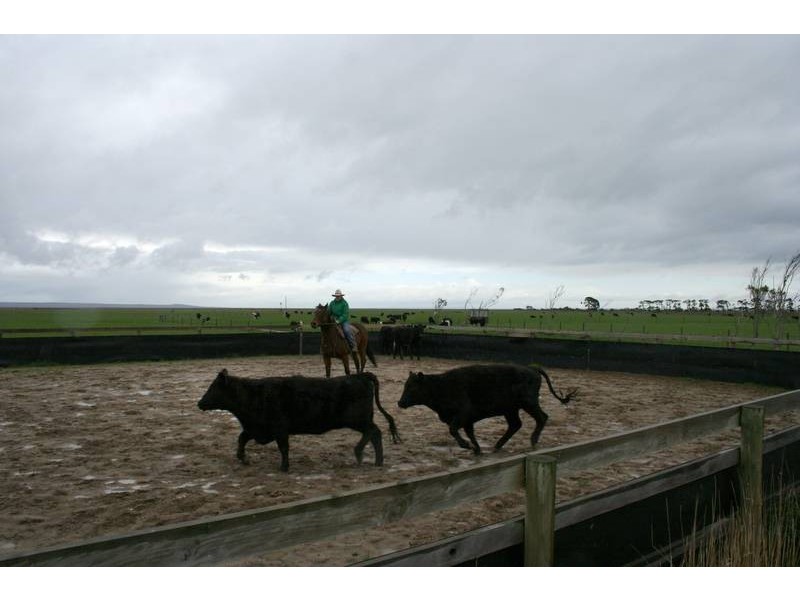 4270 South Gippsland Highway, Caldermeade VIC 3984