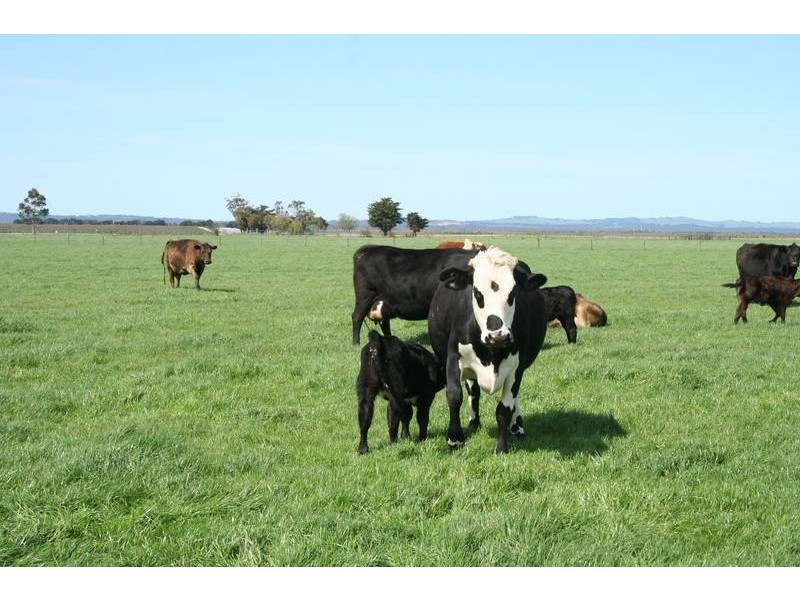 4270 South Gippsland Highway, Koo Wee Rup VIC 3981