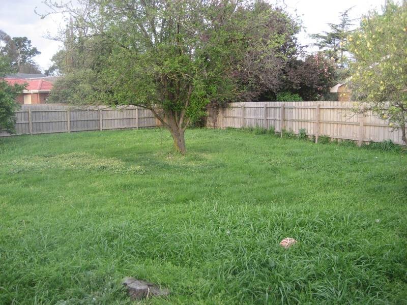 19 Snodgrass Street, Pakenham VIC 3810