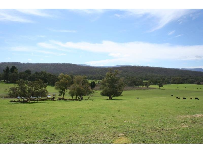 Lot 1/116 Leask Road, Bunyip North VIC 3815
