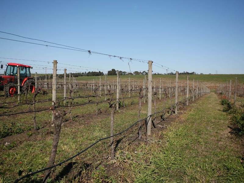 260 Tynong North Road, Tynong North VIC 3813