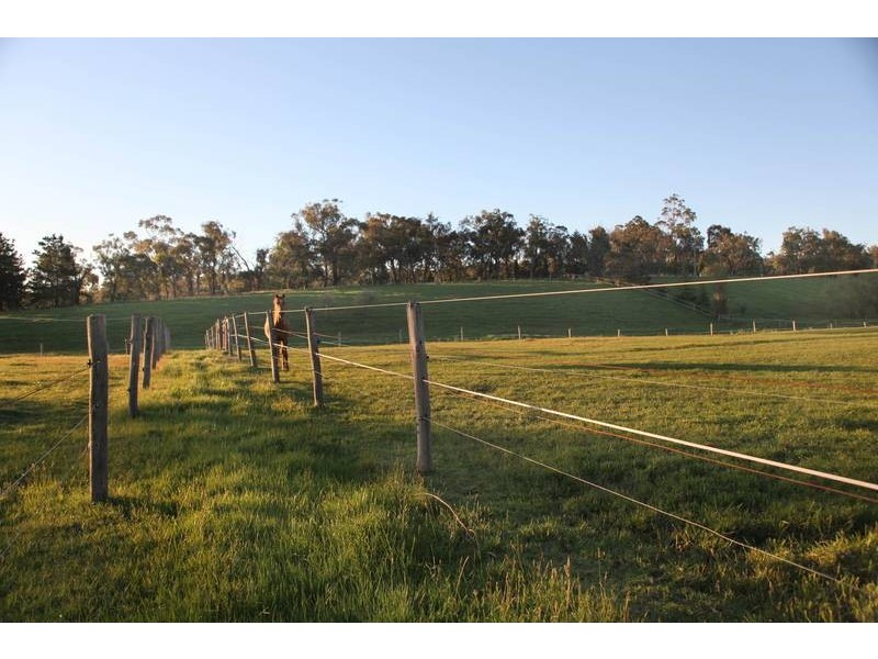 168 Quamby Road, Guys Hill VIC 3807