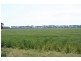 Lot 4 Gleeson Road, Tynong VIC 3813