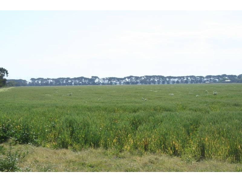Lot 4 Gleeson Road, Tynong VIC 3813