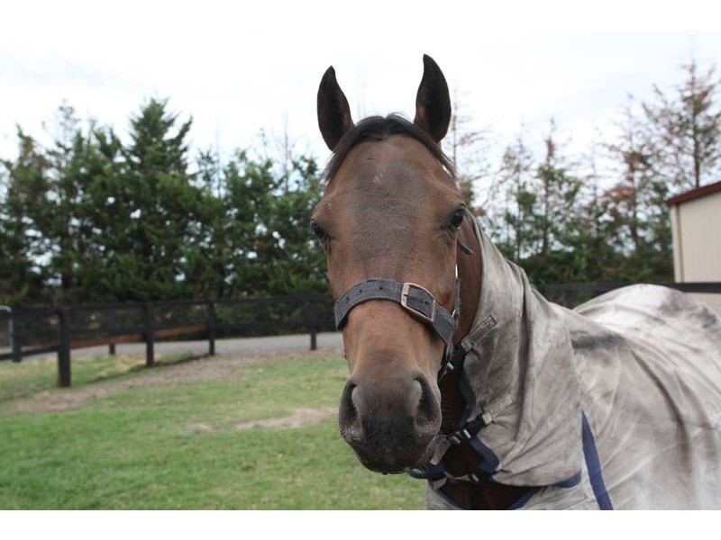 120 Sand Road, Longwarry VIC 3816