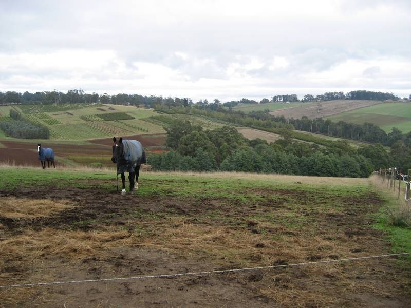 Lot 1 Penrose Road, Gembrook VIC 3783
