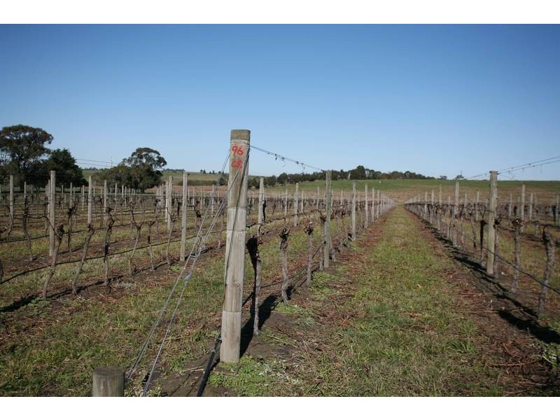 260 Tynong Nth Road, Tynong North VIC 3813