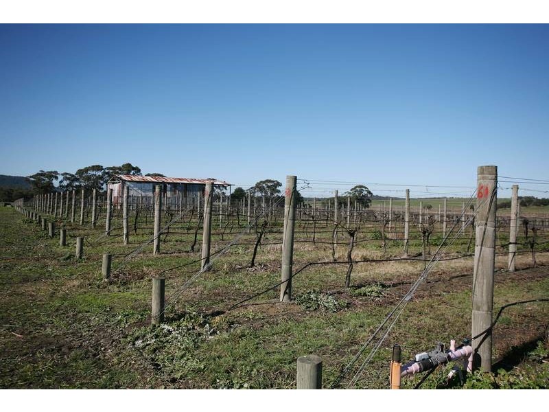 260 Tynong Nth Road, Tynong North VIC 3813